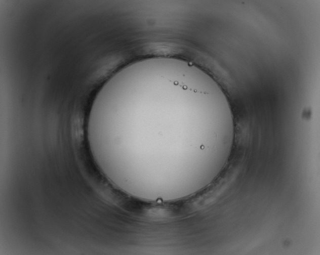 X0000103930358200809261708