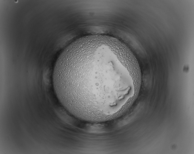 X0000103930359200809261708