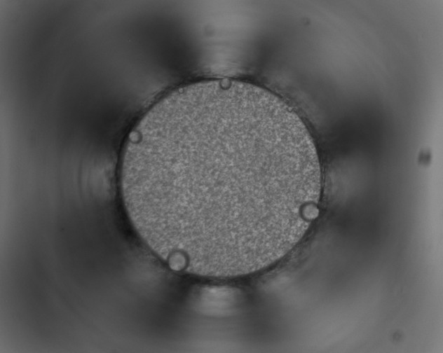 X0000103930360200809261708