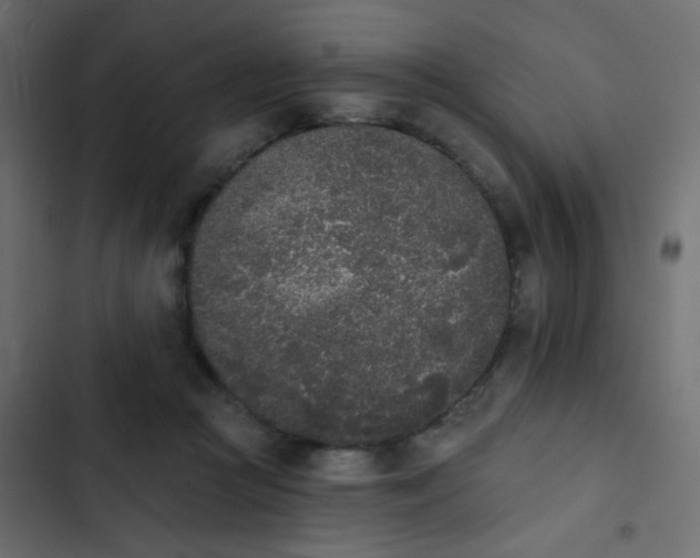 X0000103930361200809261708