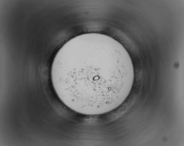 X0000103930362200809261708