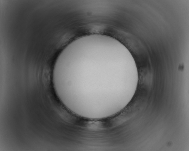 X0000103930363200809261708