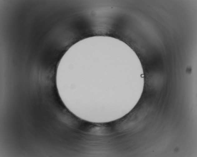 X0000103930364200809261708
