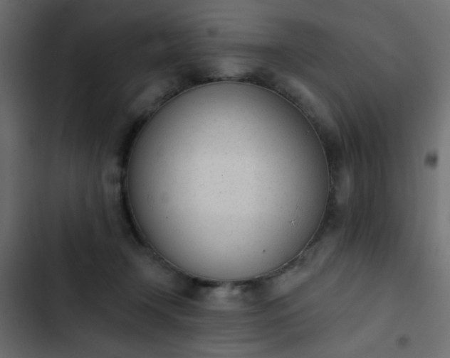X0000103930366200809261708
