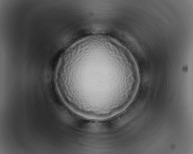 X0000103930367200809261709