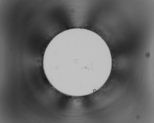 X0000103930368200809261709