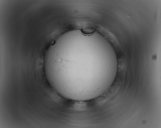 X0000103930369200809261709