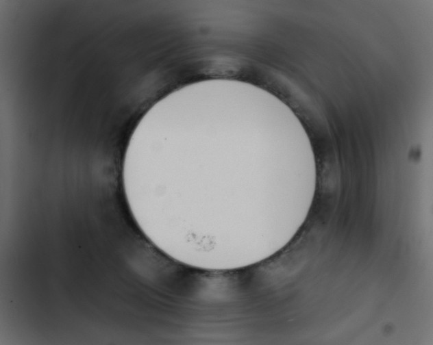 X0000103930370200809261709