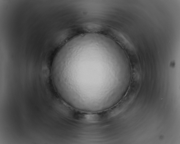 X0000103930371200809261709