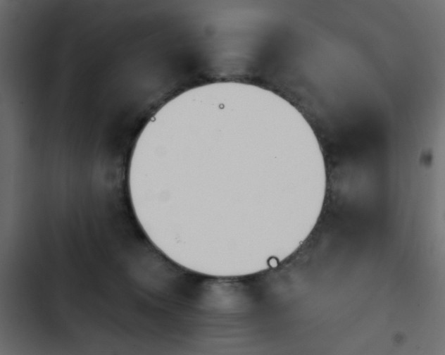X0000103930372200809261709