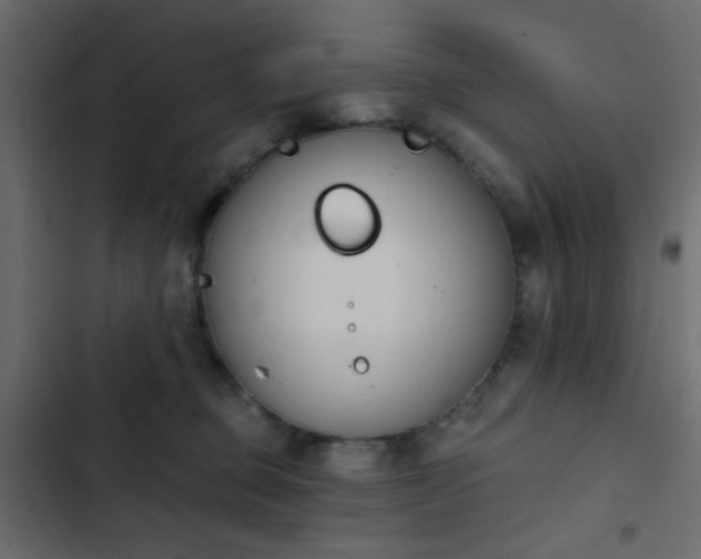 X0000103930373200809261709