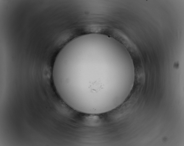 X0000103930374200809261709