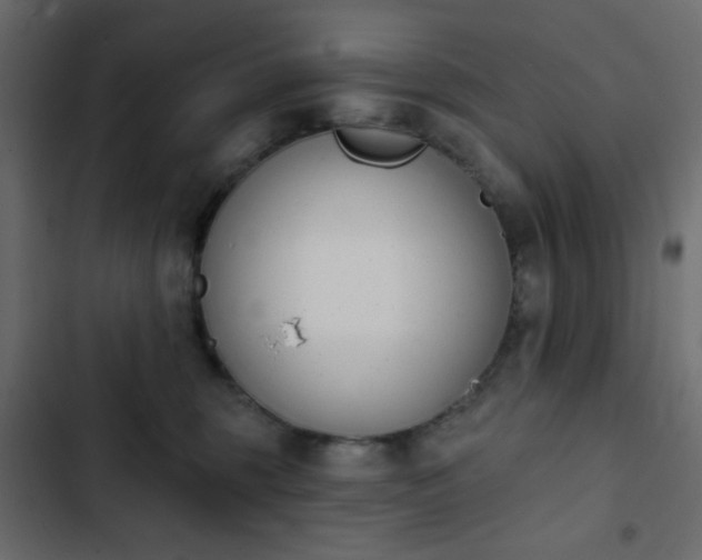 X0000103930375200809261709
