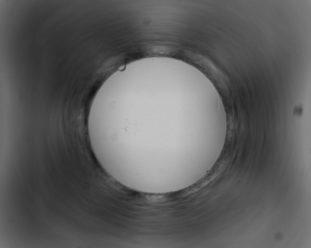 X0000103930377200809261709