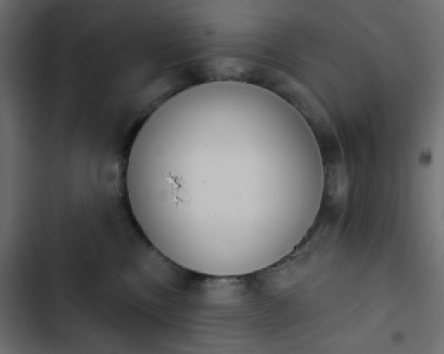 X0000103930378200809261709