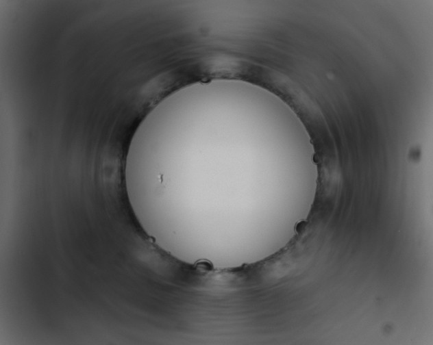 X0000103930379200809261709