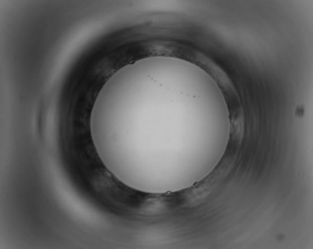 X0000103930381200809261709
