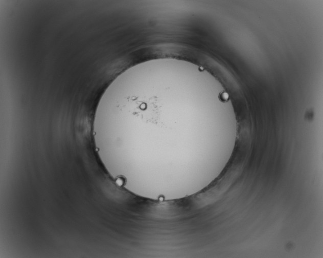 X0000103930382200809261709