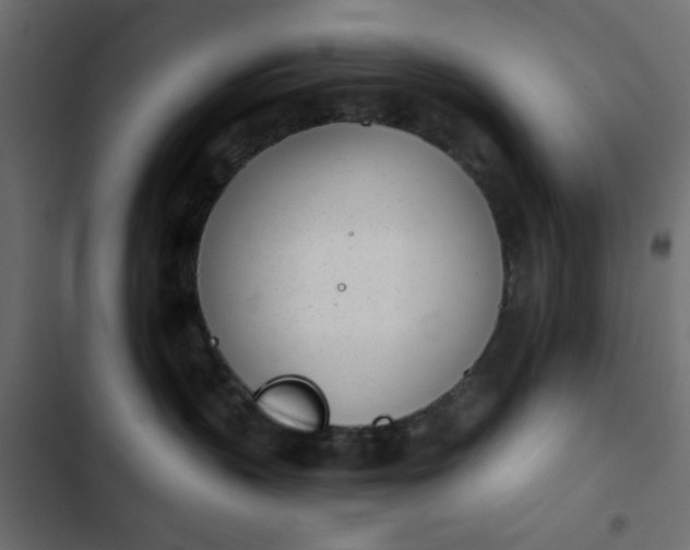 X0000103930383200809261709