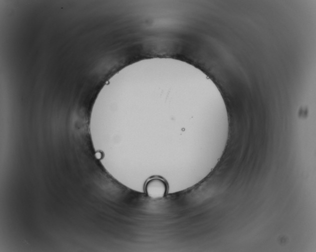 X0000103930384200809261709