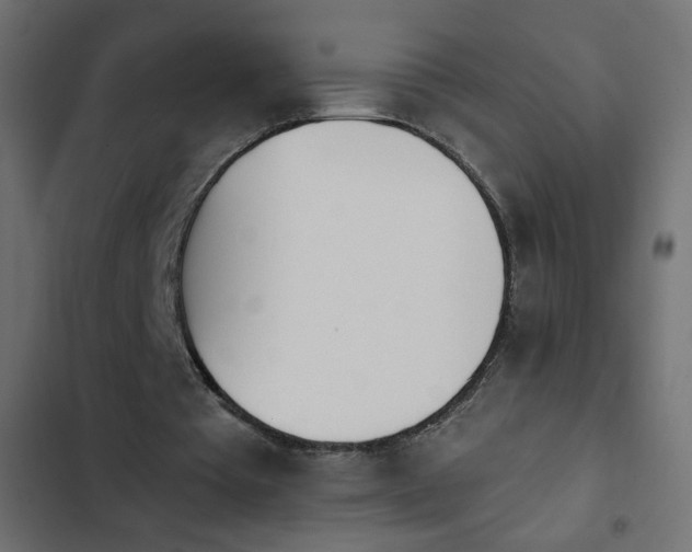 X0000103930385200809261708