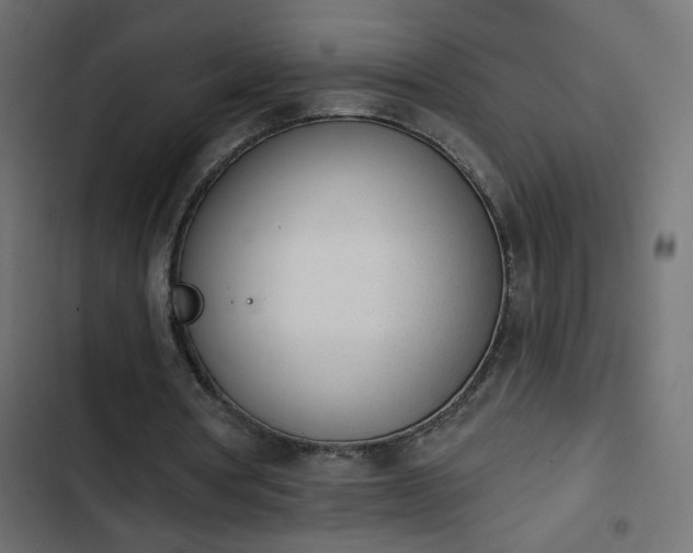 X0000103930386200809261708