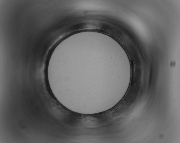 X0000103930387200809261708