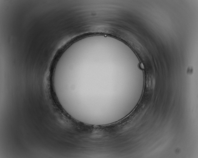 X0000103930388200809261708