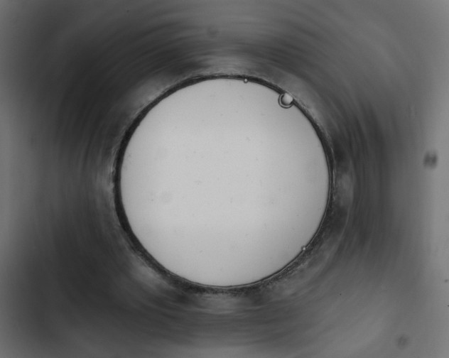 X0000103930389200809261708