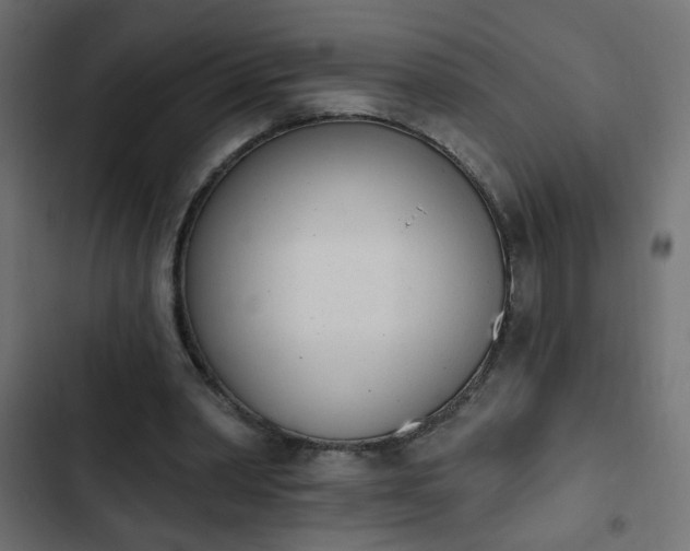 X0000103930390200809261708
