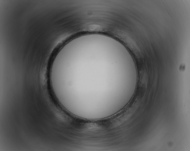 X0000103930392200809261708