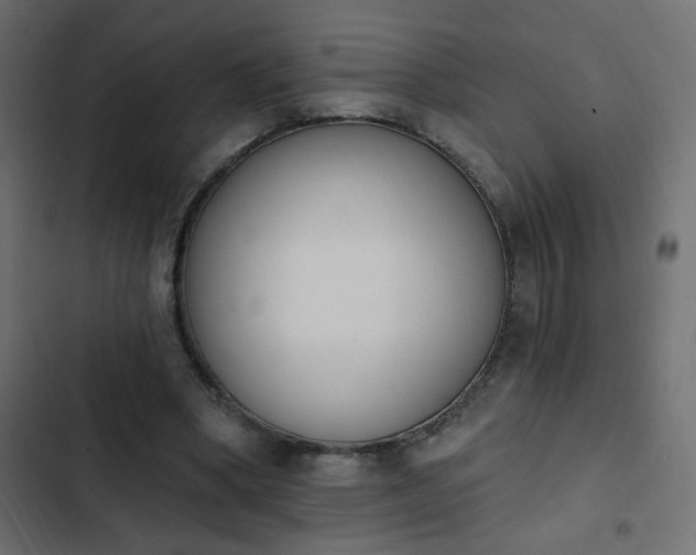 X0000103930394200809261708