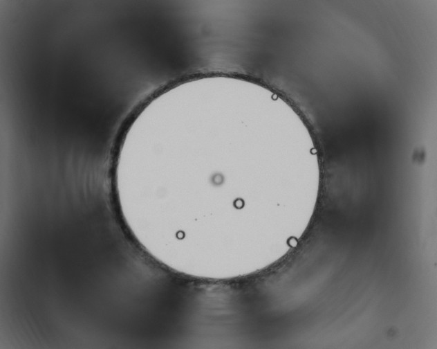 X0000103930395200809261708