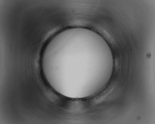 X0000103930396200809261708