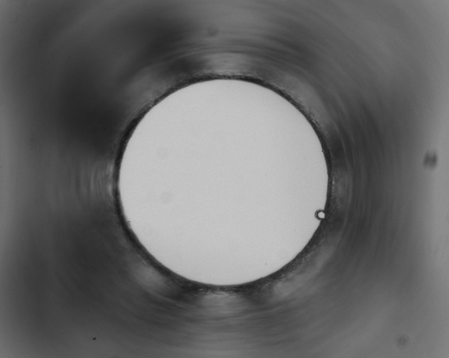 X0000103930397200809261708
