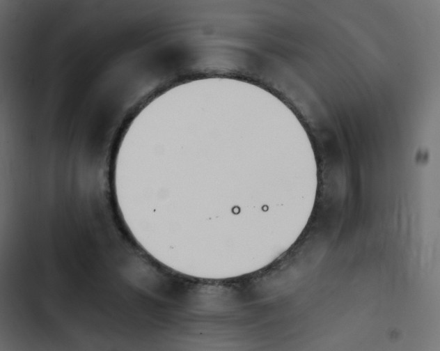 X0000103930399200809261708