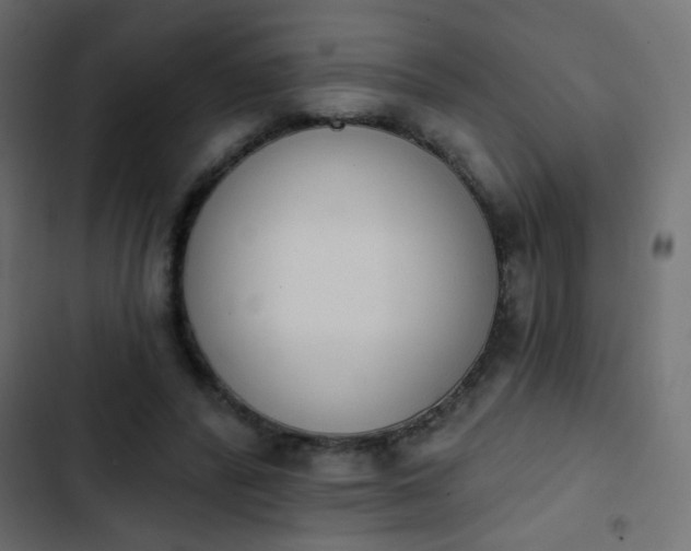 X0000103930400200809261708