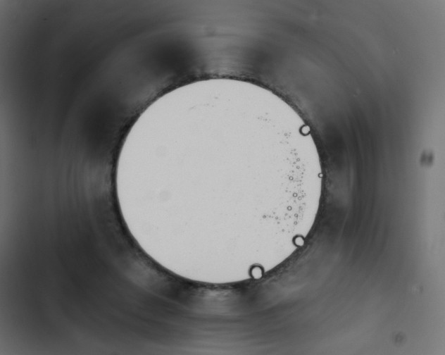 X0000103930401200809261708