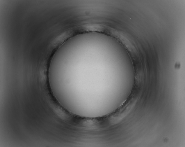 X0000103930402200809261708