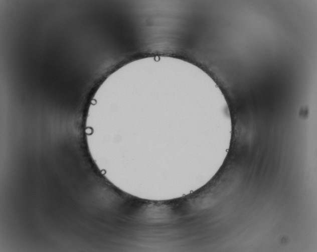 X0000103930403200809261708