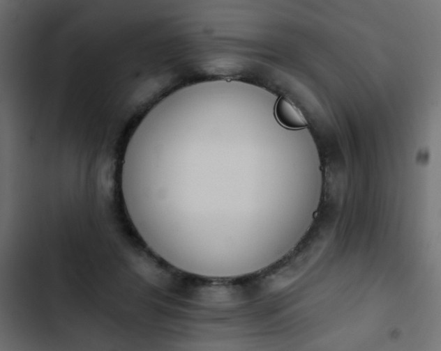 X0000103930404200809261708