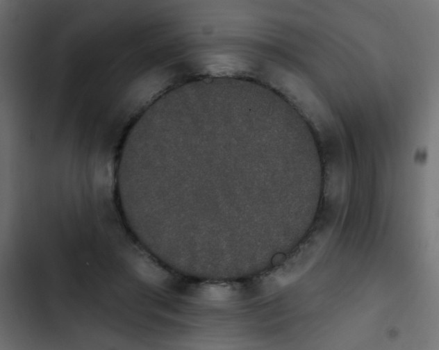 X0000103930405200809261708