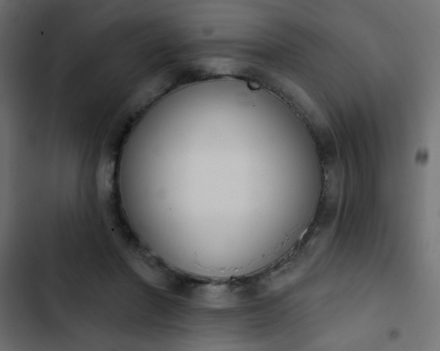 X0000103930406200809261708