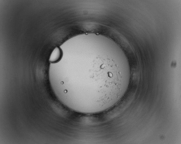 X0000103930408200809261708