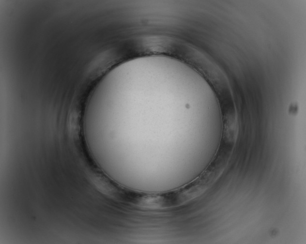X0000103930410200809261708