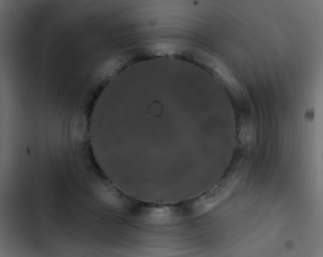 X0000103930411200809261708