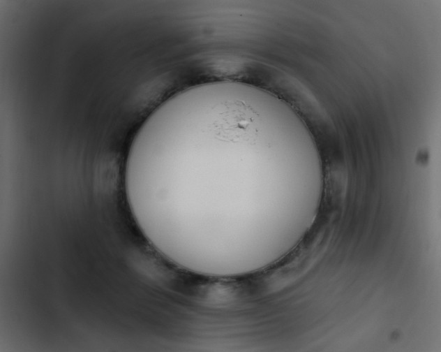 X0000103930412200809261708