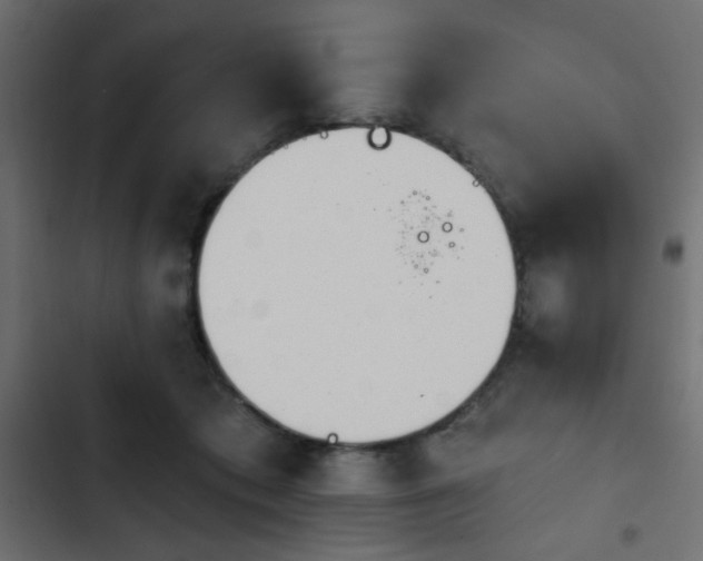 X0000103930413200809261708