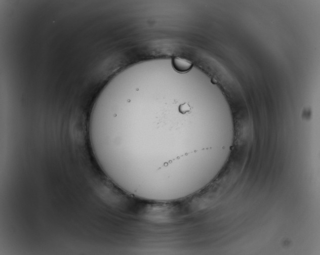 X0000103930414200809261708