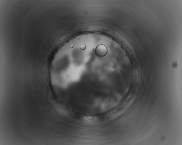 X0000103930415200809261708